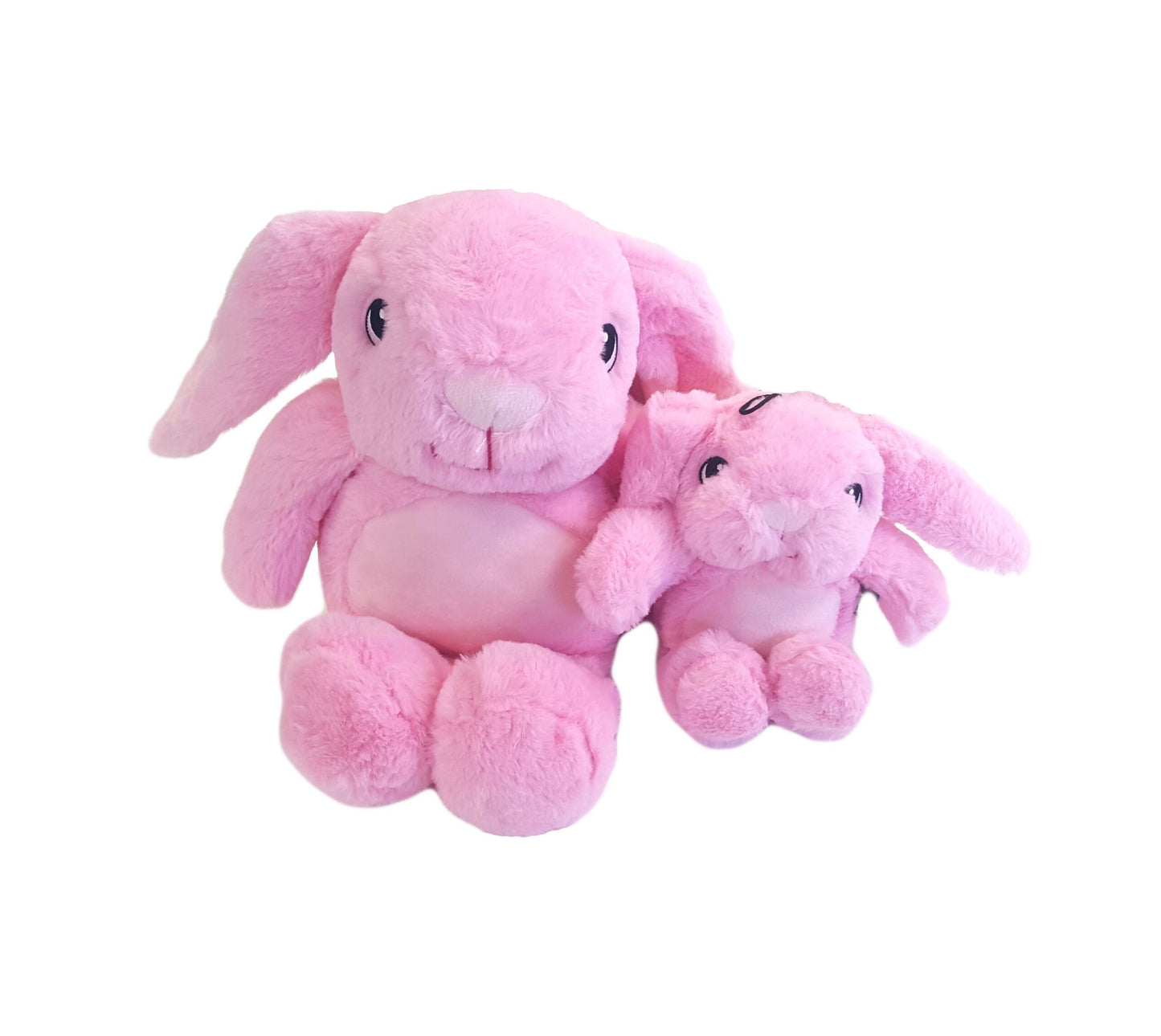 Gor Hugs Rabbit