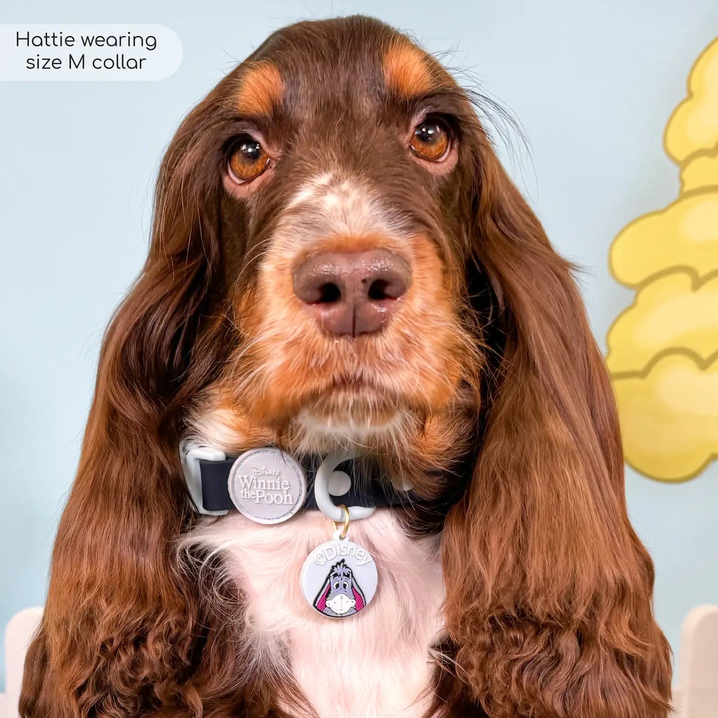 EEYORE WATERPROOF COLLAR