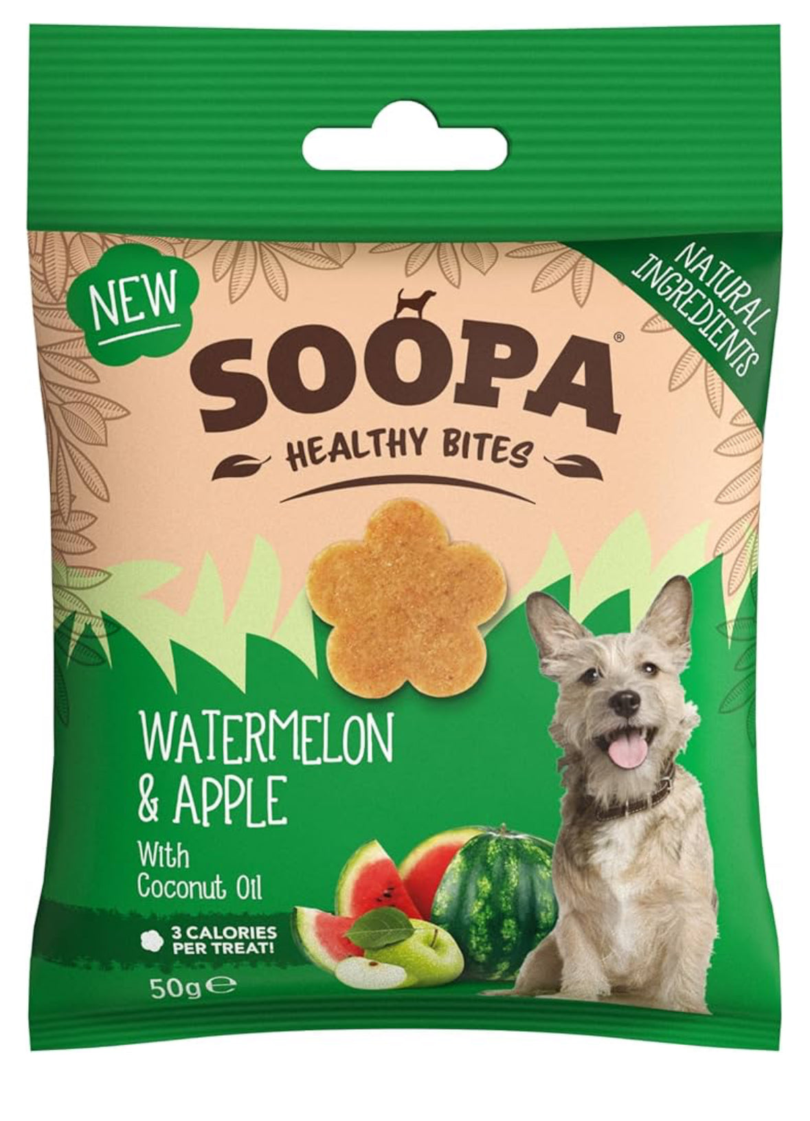 HEALTHY BITES