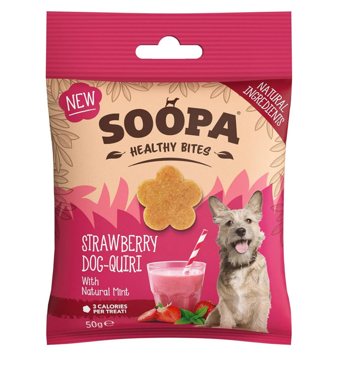 HEALTHY BITES