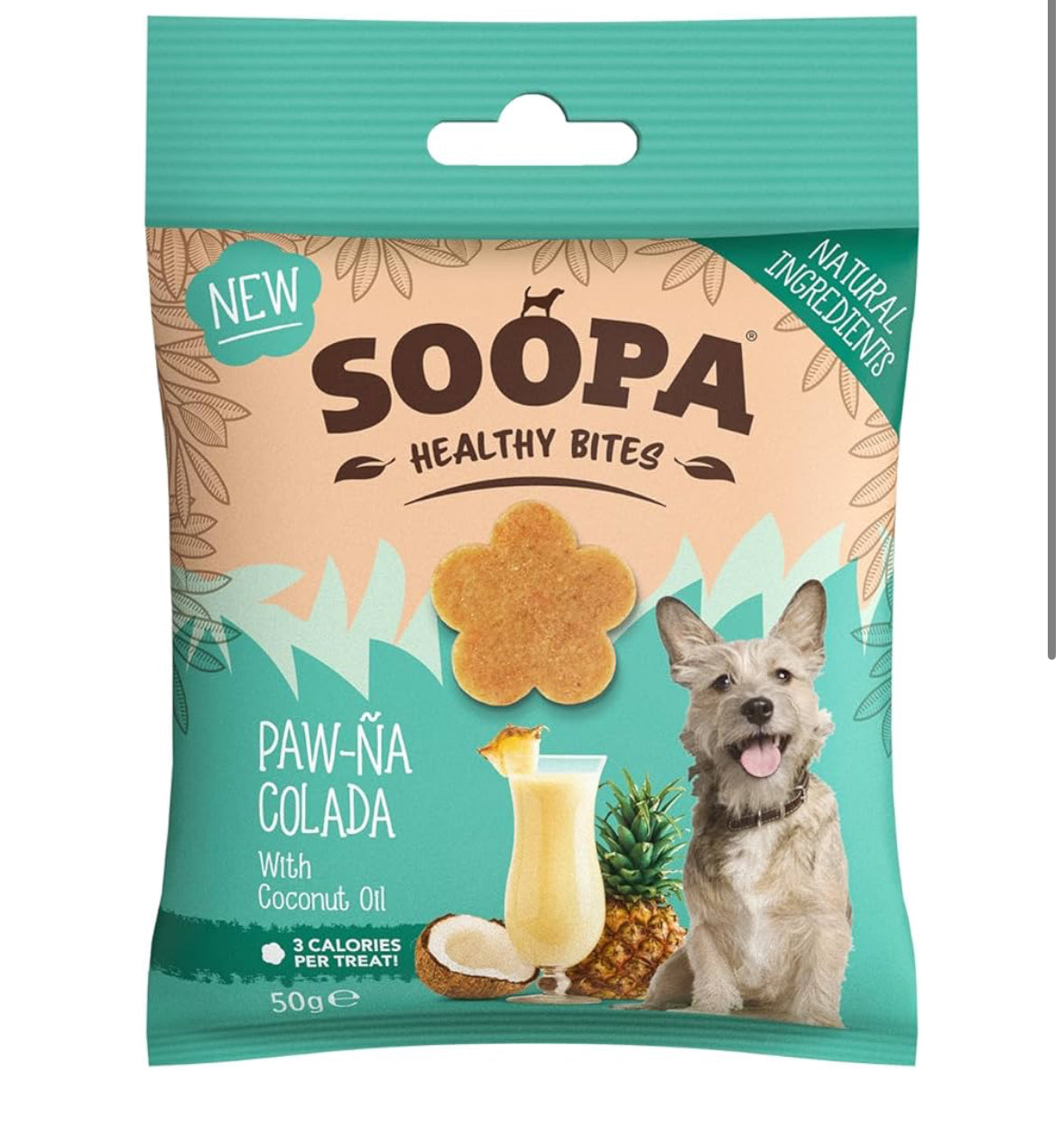 HEALTHY BITES