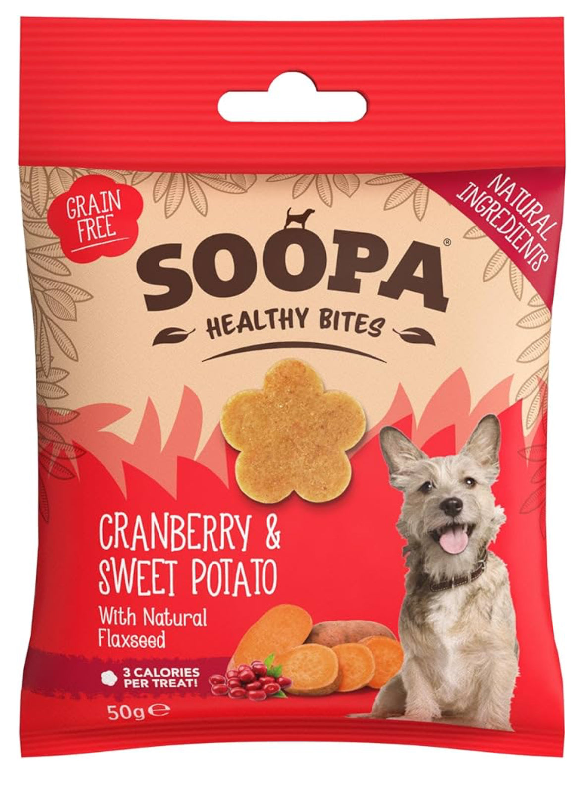 HEALTHY BITES