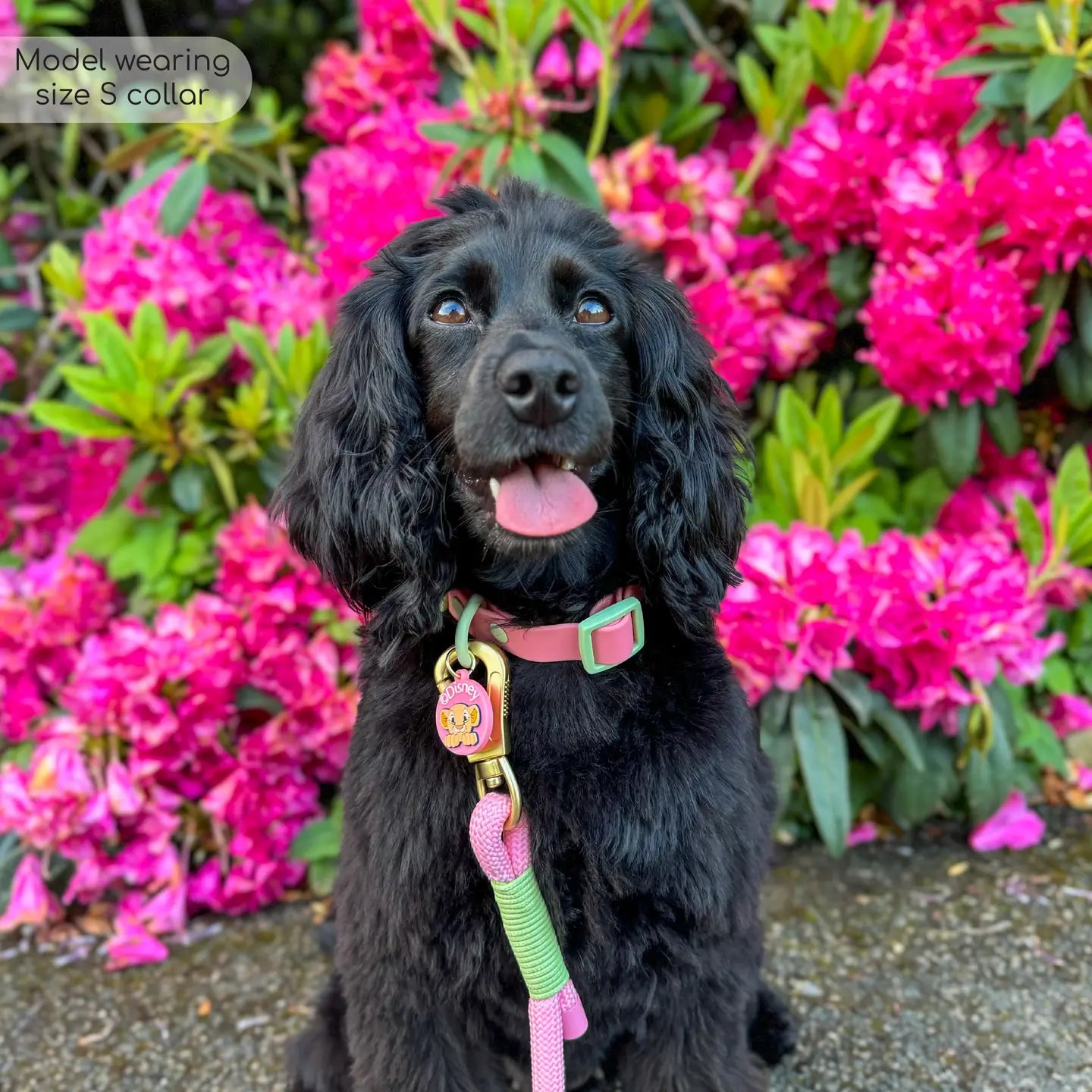 NALA WATERPROOF COLLAR