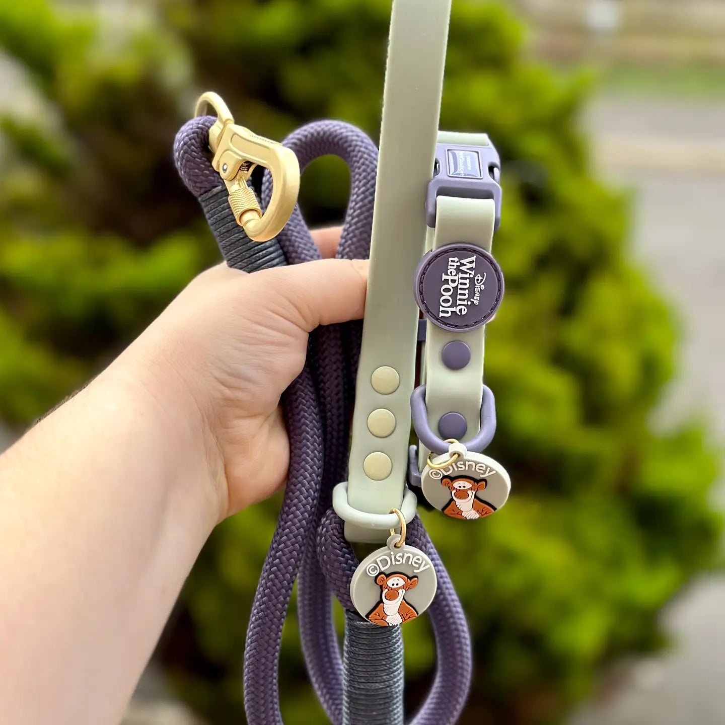 TIGGER WATERPROOF COLLAR