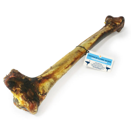 Ostrich Bone