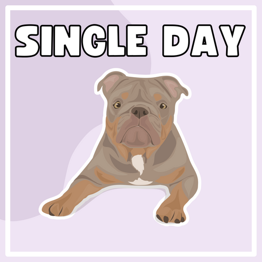 Single Day