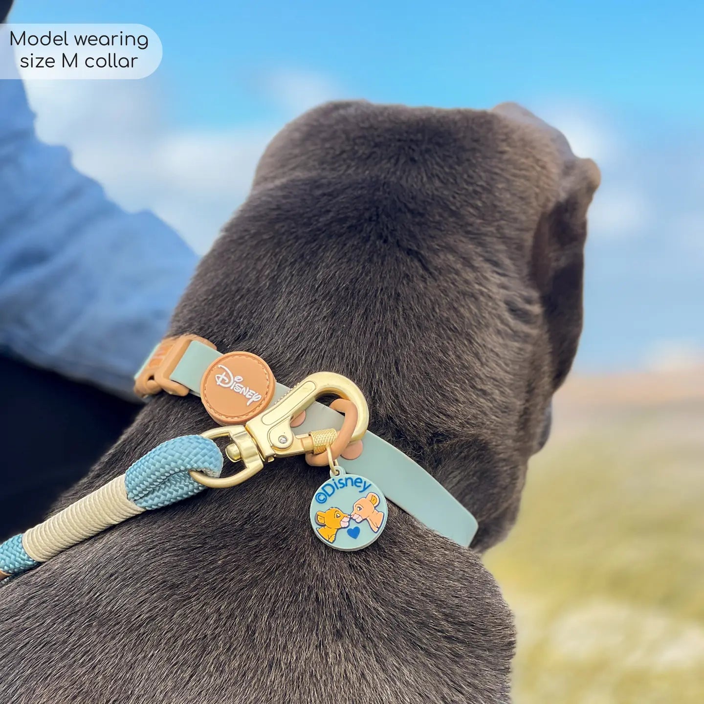 LION KING WATERPROOF COLLAR