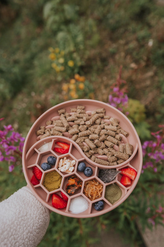 Honeycomb Slow Feeder Bowl